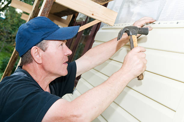 Best Siding Removal and Disposal  in Chatham, IL