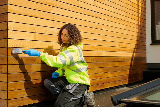 Affordable Siding Repair and Maintenance Services in Chatham, IL